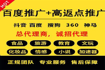 深入剖析SEM公司成功案例：数据驱动的广告策略